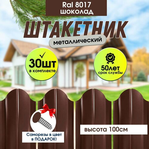 ������ ������ �������� ������� ��� ���� ��������� ���������� 100�� ����