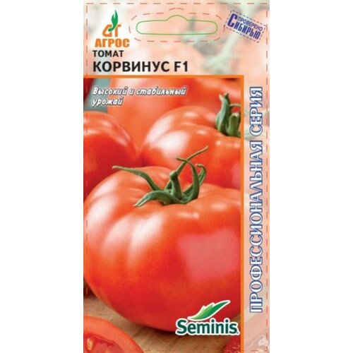 ������ ������ ������ ����� �������� F1 5�� ������� ������ (�����) ����