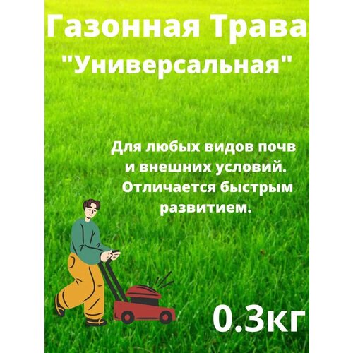 ������ ������ �������� ����� 