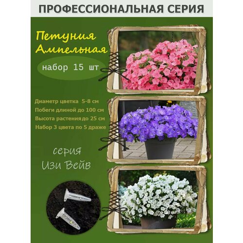 ������ ������ ��������� ������� ��� ���� Easy Wave ����� 3 ����� ����