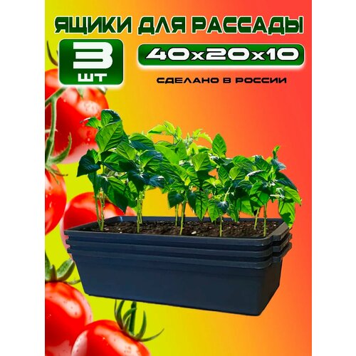 ������ ������ ����� ��� ������� ����� 3 �� ����