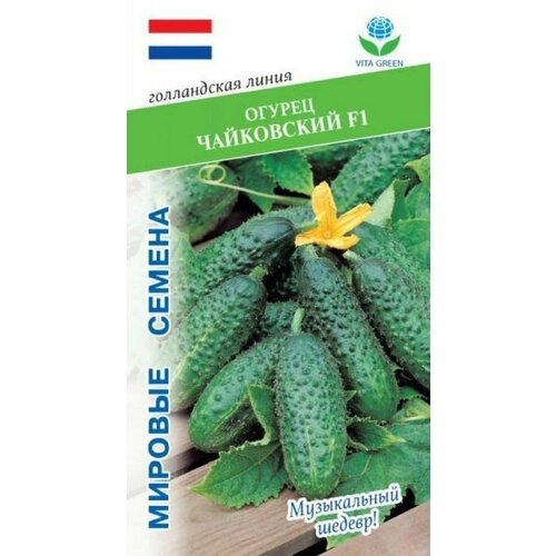 ������ ������ ������ �������� ������ ���������� F1 ����