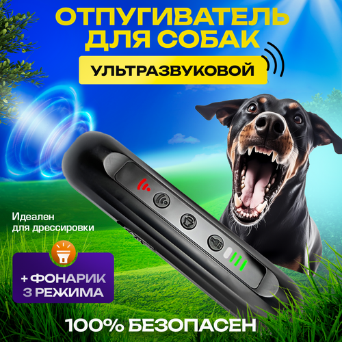 ������ ������ �������������� ������������ ����� �� ������������ ����