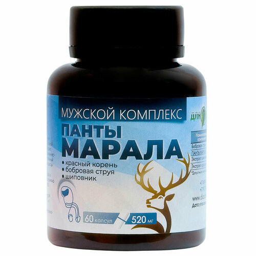 ������ ������ ����� ������ ������� �������� 60�� ����