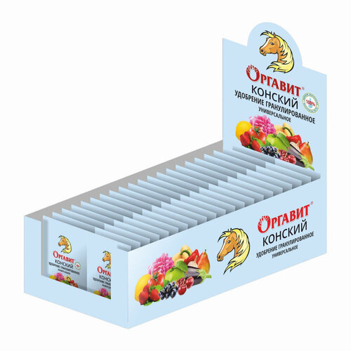 ������ ������ ������� ������� 10�� ����