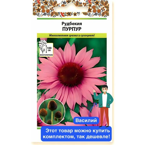 ������ ������ ������ �������� ������ ����