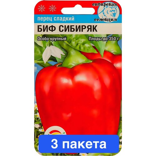 ������ ������ ������ ������ ��������� ��� 