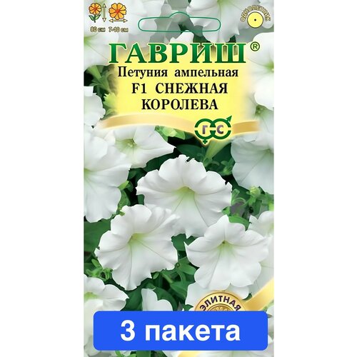 ������ ������ ����� ������� ��������� ������� �������� F1 3 ������ ����