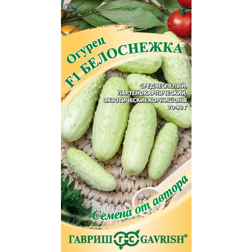 ������ ������ ������ ������ ���������� F1 10�� (������) ����� ����