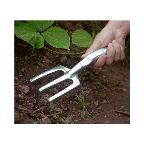 ������ ������ ��������� �������, ����������� �����, ����� 23�� ����