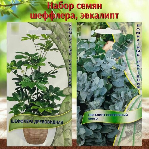 ������ ������ ������ ��������� �������� �������� � �������� 2 �������� ����