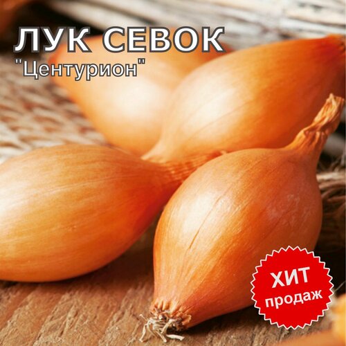 ������ ������ ��� ����� ������ �� ������� ��������� 800�� ����