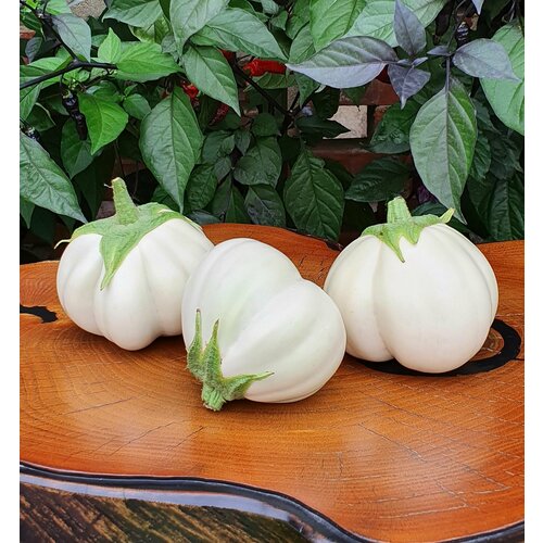 ������ ������ ������ �������� ������� ����� � ������ (Thai White Ribbed) / Seeds And Goods / � �������� zip-lock ��� ���������� 10 ����� ����