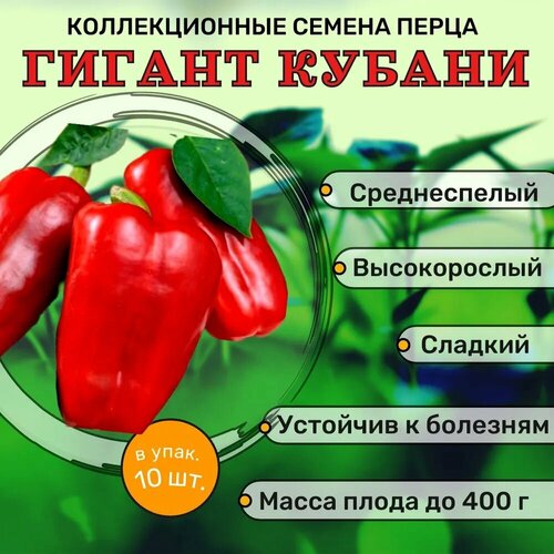 ������ ������ ������������� ������ ����� �������� ������ ������ ����