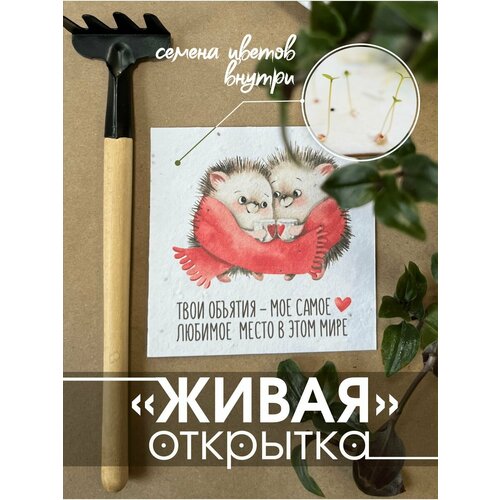 ������ ������ �������� Istok EcoShop ����� �������� ��� ������� ����
