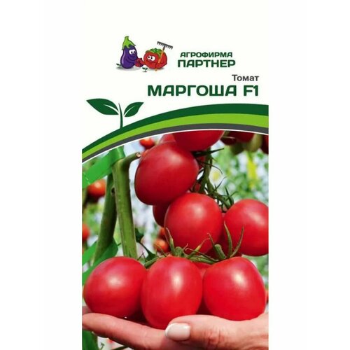 ������ ������ ������ ������ 