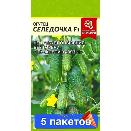 ������ ������ ������ ������ ������ ����� 