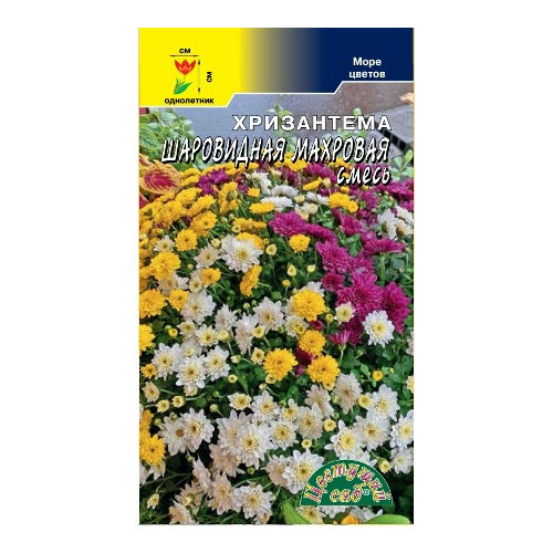 ������ ������ ������ ���������� ���������� �������� 0,04� ��� 45�� (�������� ���) ����