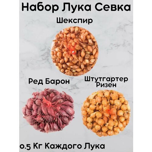 ������ ������ ����� ��� ����� 0.5 �� ����