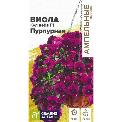 ������ ������ ������ ����� ��������� 