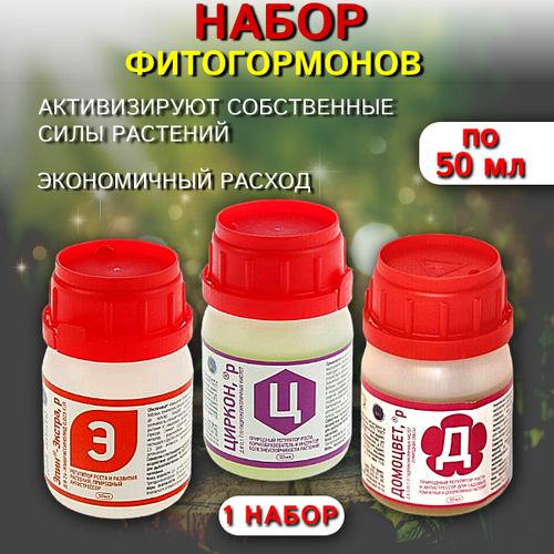 ������ ������ ����� �� 50 �� �������� + ������ + ���� ������ ����