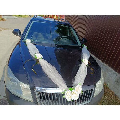 ������ ������ ��������� ����� �� ����� ���������� ����