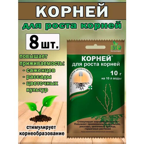 ������ ������ �������� ��� ���������� ����� ������ ������ 10 �. ����