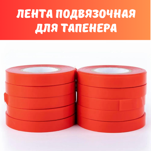 ������ ������ ����� ��� �������� 10 ���� ����