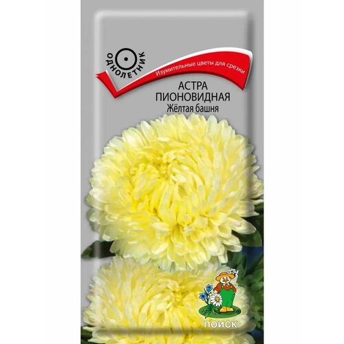 ������ ������ ����� ����������� 