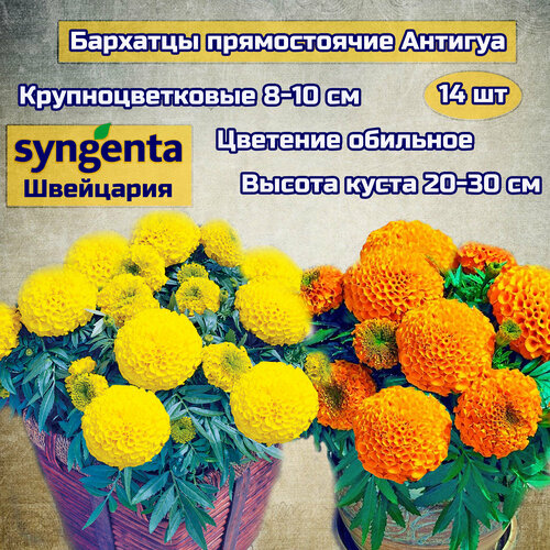 ������ ������ ������ ������ �������� 