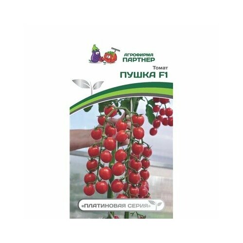 ������ ������ ������ ������ 