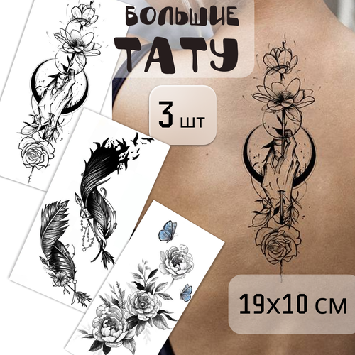 ������ ������ ����� ������� ���������� ���� 3 ����� (19�10 ��). ��������� ����