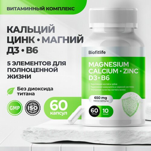 ������ ������ ������� ������ ���� ������� �3 �6, 60 ������ 650 �� ����