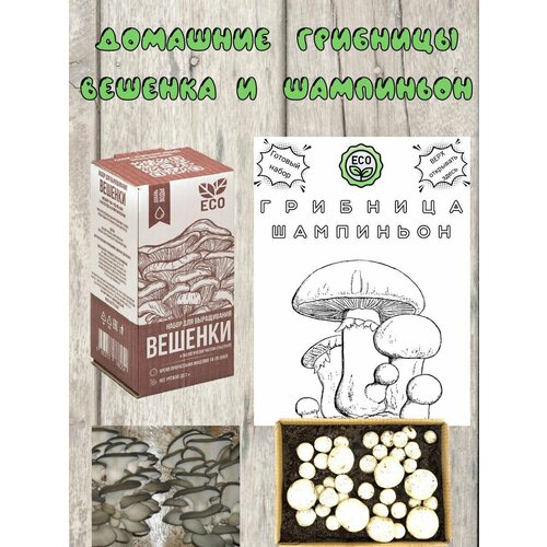 ������ ������ ������ ��� ����������� ������ ������� � ���������� ����