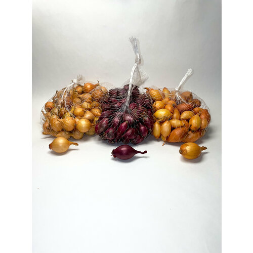 ������ ������ ����� ���-����� ����������� ����� 10/21 (0,25 ��), ��� ����� 8/21 (0,25 ��) � ������ 10/21 (0,25 ��) ����