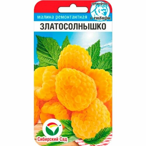 ������ ������ ������ ������ ������������� 10�� ������ (��������� ���) ����