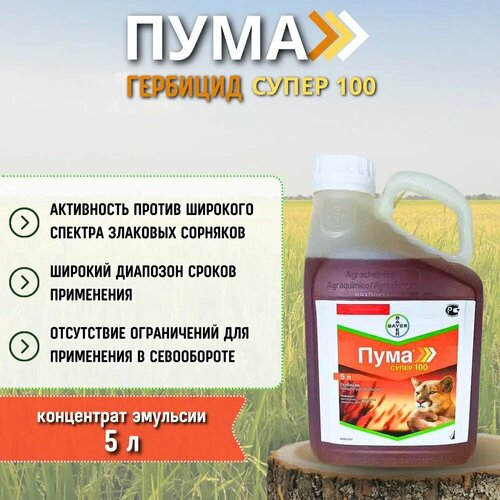 ������ ������ ���� ����� 100 / ����������������� �������� ��� �������������� ��������� �������, 5 � ����