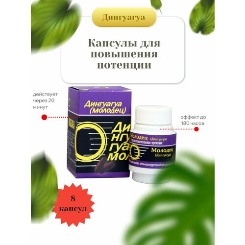 ������ ������ ������� ����������� ��������� ������� ����