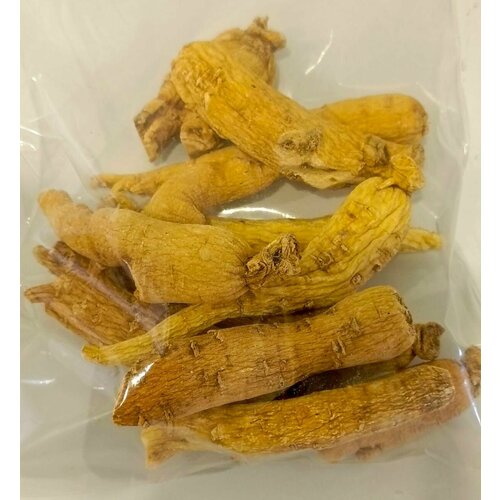 ������ ������ �������� ������� ������ �����, 150�� ������������ �������� ����