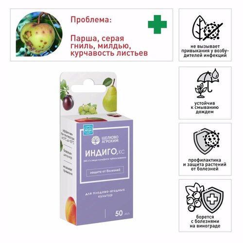 ������ ������ �������� �� �������� �������� 