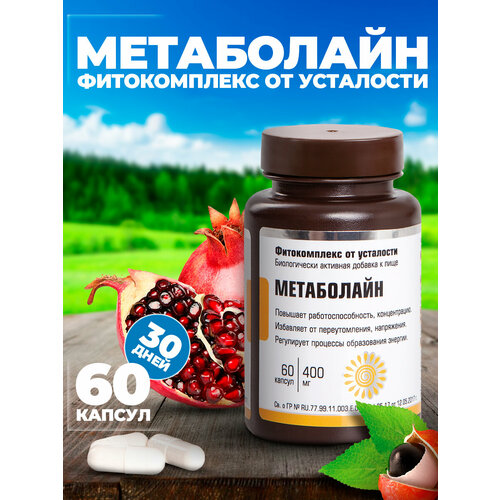 ������ ������ ������������ �� ��������� ���������� ����