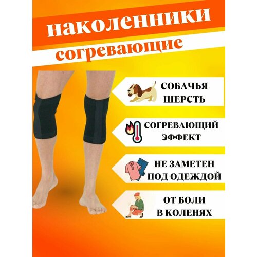 ������ ������ �������� ����������� �� �������� ������, ������ 5 ����