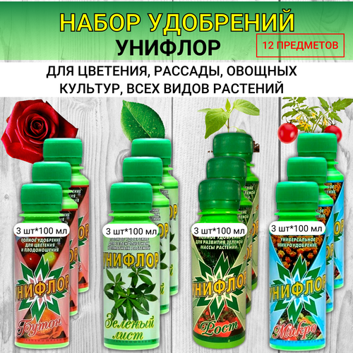 ������ ������ ����� ��������� ������� ����� + ������� ���� + ����� + ���� �� 300 �� ����