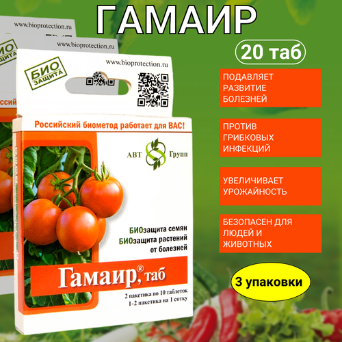 ������ ������ ����������������� ������, 3 �� �� 20 �������� ����