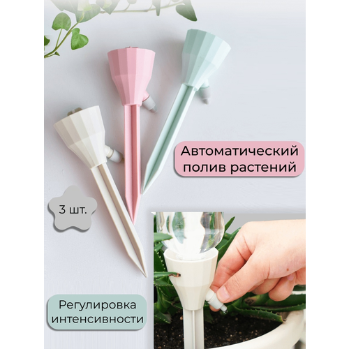 ������ ������ ���������� ��� ���������� ������ ����