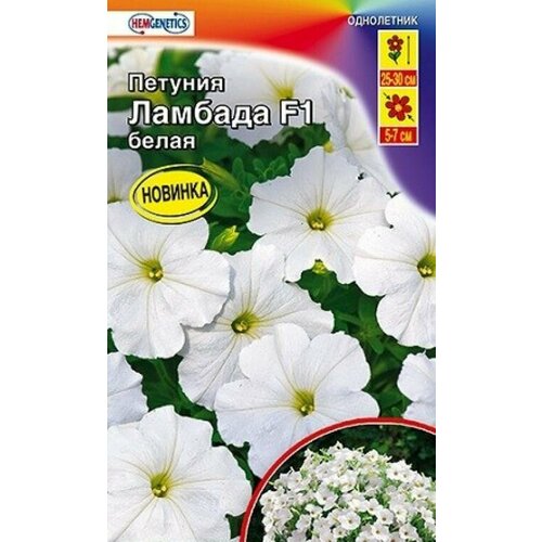 ������ ������ ������� ������� F1 ����� �������������� ����