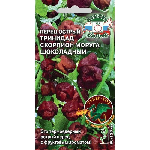 ������ ������ ����� ������ �������� �������� ������ ���������� , ������ ����