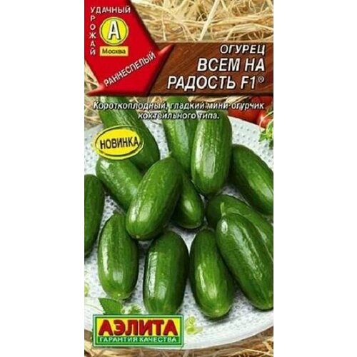 ������ ������ ������ ���� �� ������� F1 10�� ������ ����