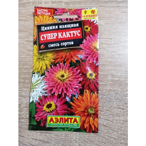 ������ ������ ������. ������ 