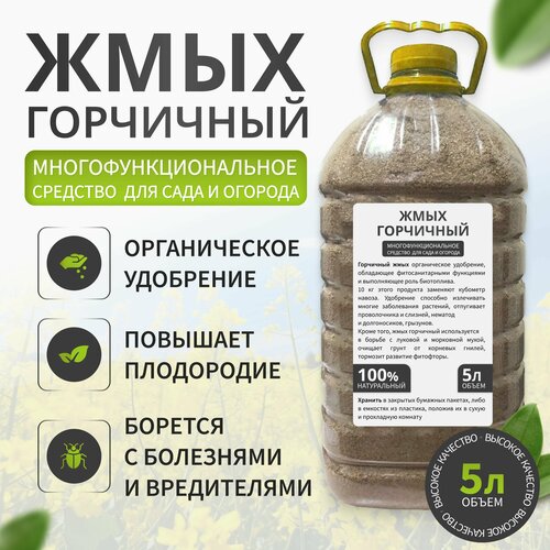 ������ ������ ���� ��������� 5� ����